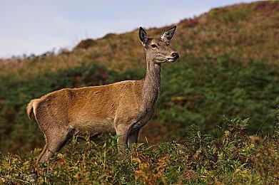 任天堂紧急提醒：Switch2屏幕保护膜切勿撕除